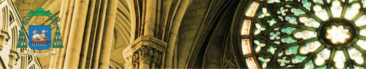 Consejo Diocesano de los Bienes Culturales y Arte Sacro